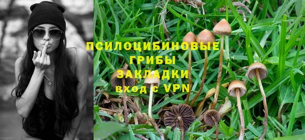 не бодяженный Красноперекопск