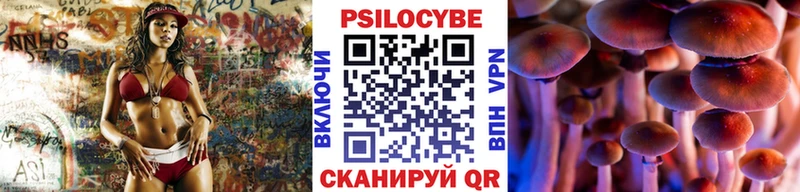 Галлюциногенные грибы Magic Shrooms  Приволжский 